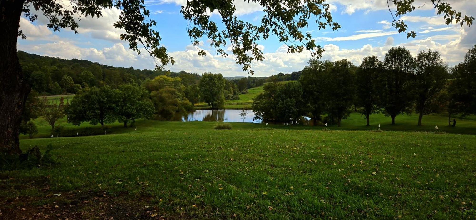 West Park Gardens 호텔 쿨페퍼 객실 사진